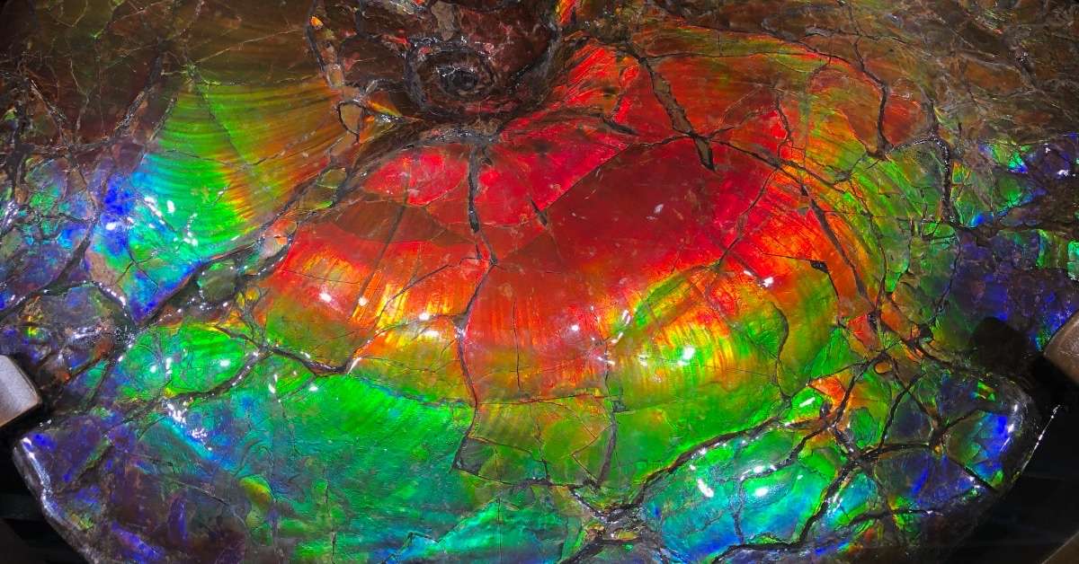 The Deep South USA. Unique Hotel Features